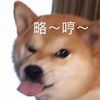 请假条