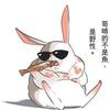 王花花