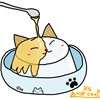 日系猫
