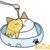 日系猫
