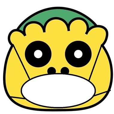 橘子绿贝斯