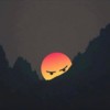 小太阳