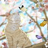 荞