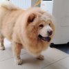 七