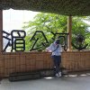 鱼小绿
