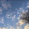 Tingchen24_