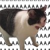 サ²