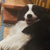孙若竹