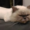 Boris的音乐实验室