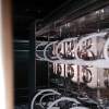 __vAutoTest121_restless_salad_qt6