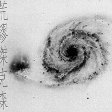 有棵树