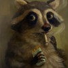 raccoon