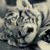RERE