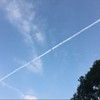 阿鸡失眠