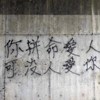 User923456