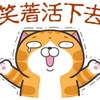 张博