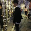 熊茶