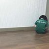 龙七