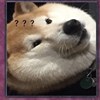 月亮