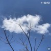 (ฅ´ω`ฅ)