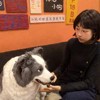 saixiaoxi