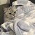 lilmeow