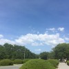 鱼