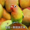 陈源宏