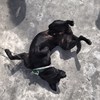 王煜松