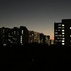 serendipity_0524