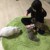 Irene_yz