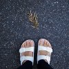 shiny_pine_if