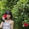 萧柳丁丁