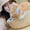 杨今