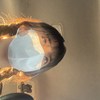 Stella好饿