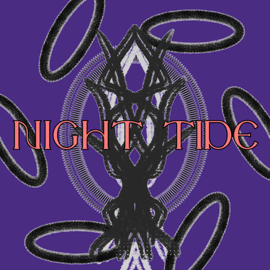 蓝莓之夜