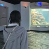 楚禾日当午