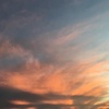 海的飞鸟集