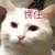刘昊然