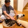 香草小熊冰淇淋