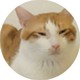 李腥的猫