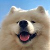 00