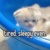 感猫冲剂_