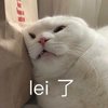 你萌我们萌