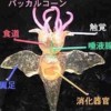 小飞侠