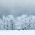 snowy