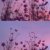 snowy*morning