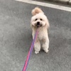 笼（纯音乐）