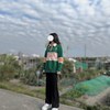 soft_credit_v1t
