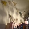 萧慈音